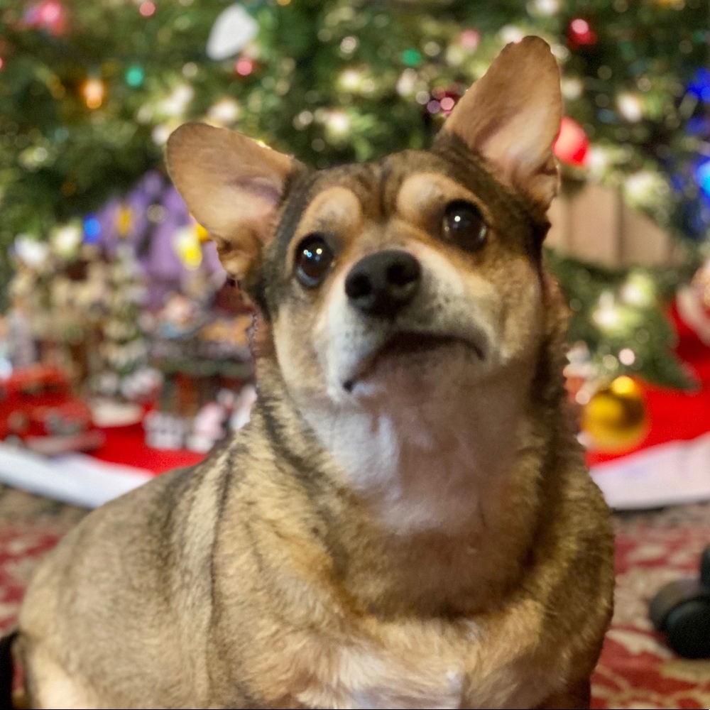 Meet your Posher, Mario